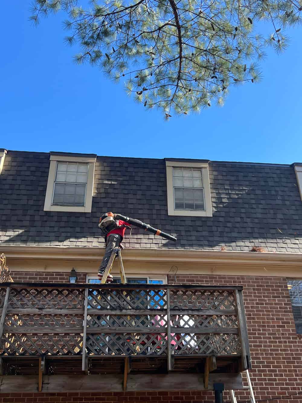 Roof & Gutter Cleaning Services image