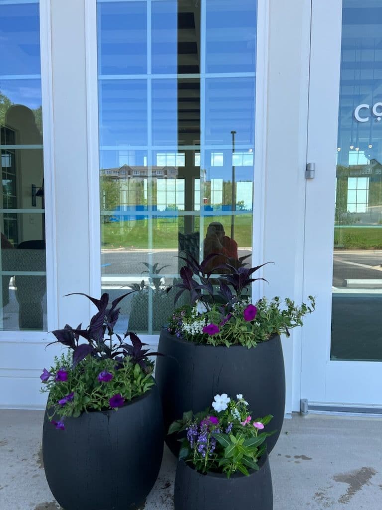 Gallery photos for Transform Your Entrance with Vibrant Summer Planters: Image #1