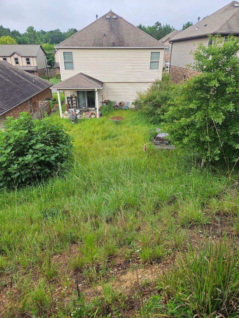 Leeds AL Yard Makeover from Wild to Wonderful image
